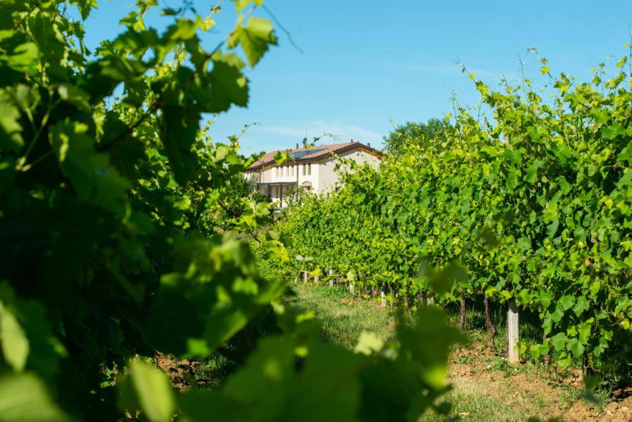 Relais La Dolce Vite Villa San Vendemiano ภายนอก รูปภาพ