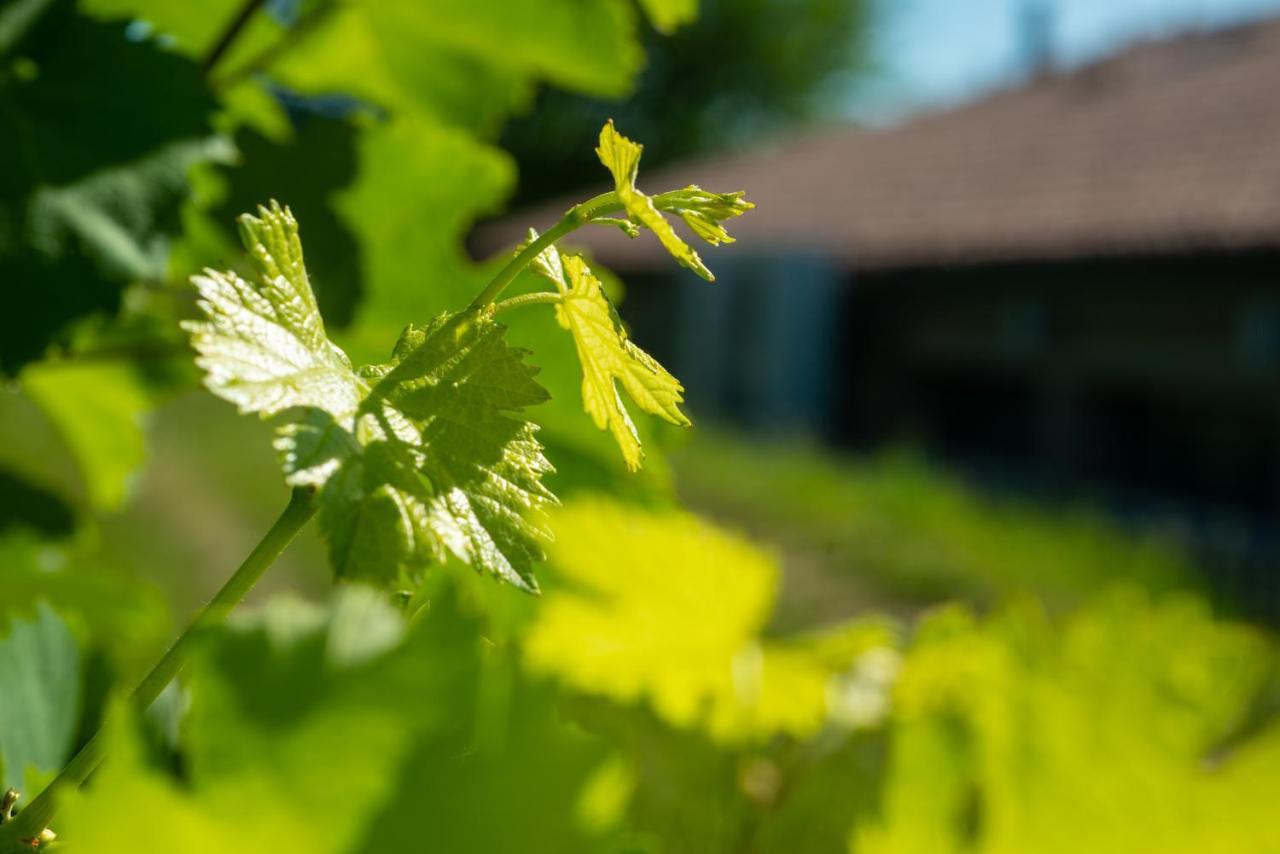 Relais La Dolce Vite Villa San Vendemiano ภายนอก รูปภาพ